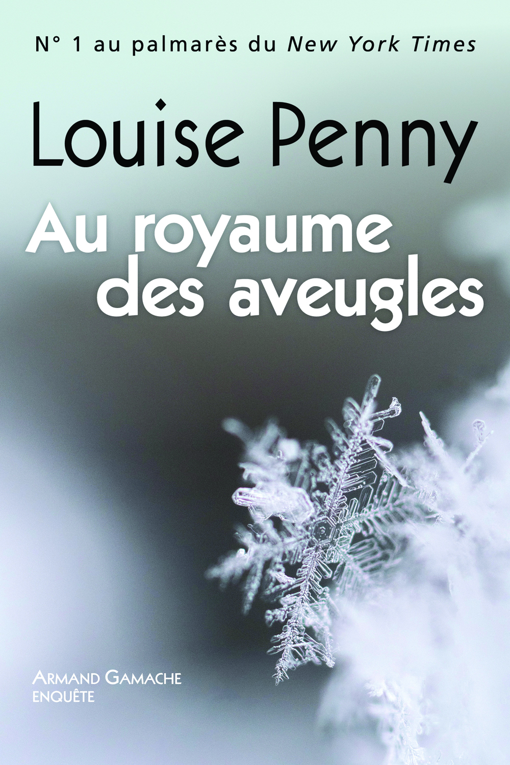image d'Au royaume des aveugles