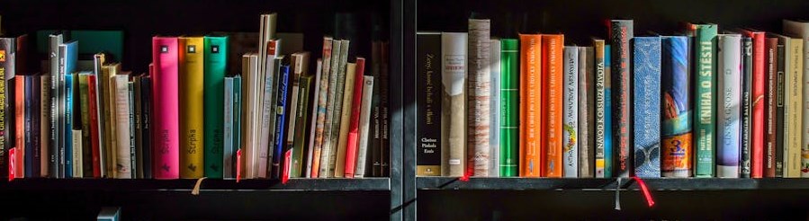 Une étagère de livres.
