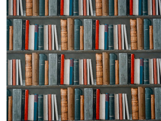 Une étagère pleine de livres.