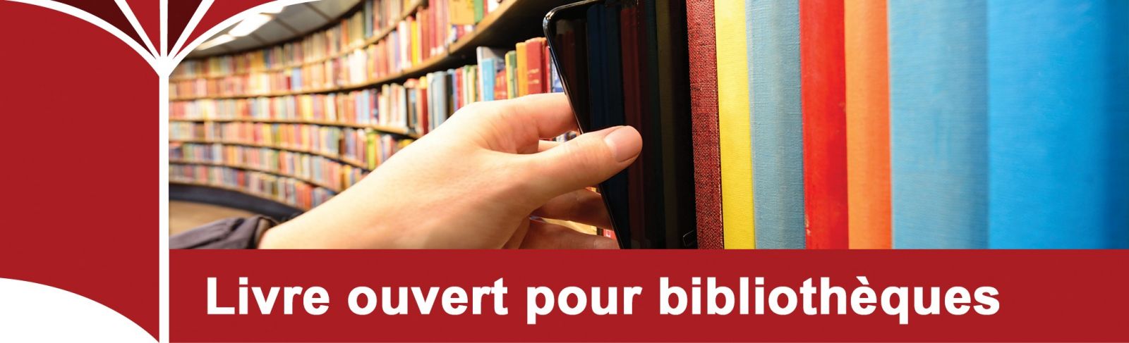 Livre ouvert pour bibliothèques