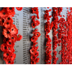 Des coquelicots rouges sont attachés à un mémorial portant les noms de soldats.
