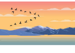BCLA Conference image of Canada Geese flying in a sunset by a mountain