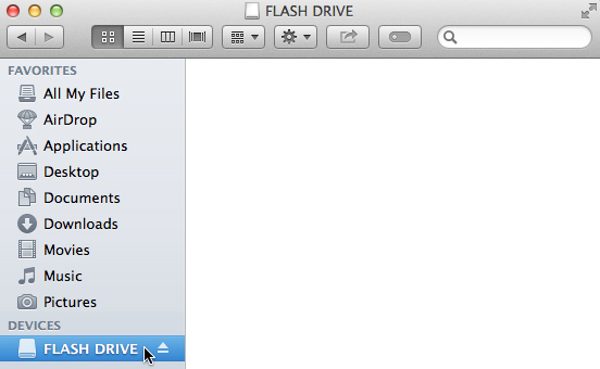 Flash drive