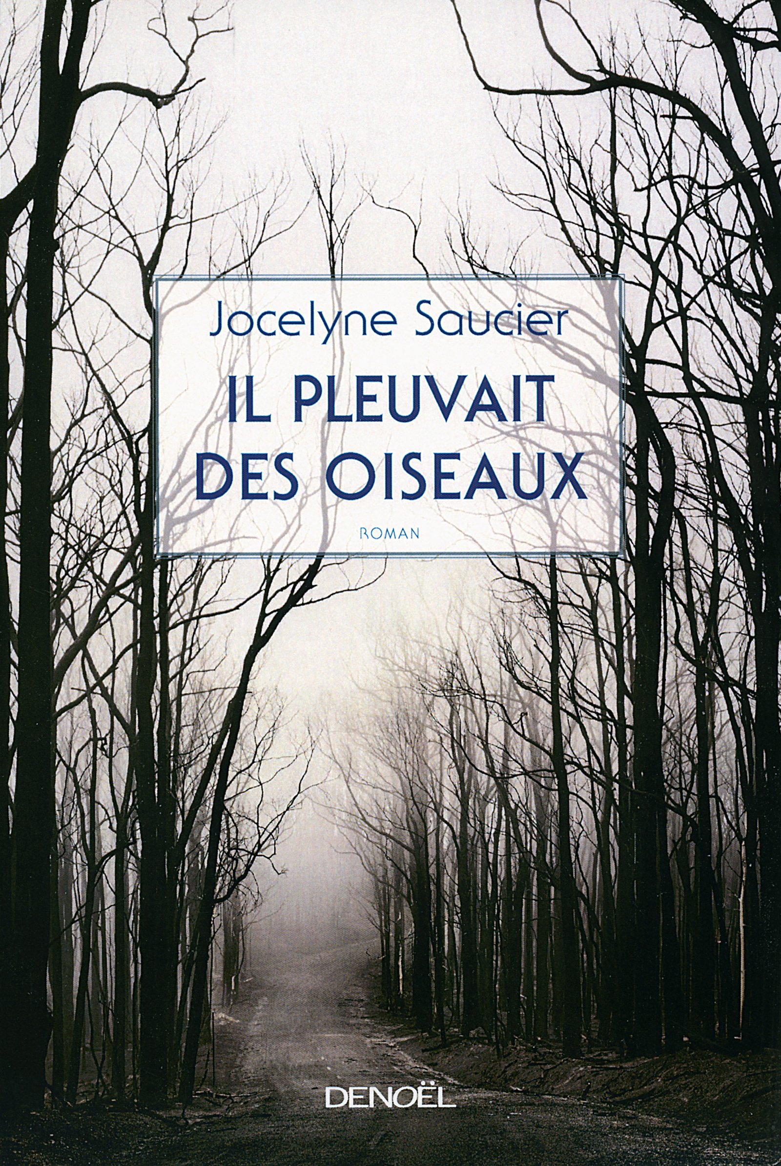 couverture de livre : il pleuvait des oiseaux