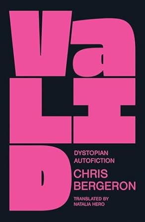 Cover of the book Valid by Chris Bergeron.