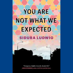 Book cover of You Are Not What We Expected by Sidura Ludwig shows a silhouette of a suburban street scene against a colourful sky. The title of the book and author's name appear in block letters against the sky. Against the silhouette is a quote "Gorgeous, highly visceral, deeply felt." Jami Attenberg, author of All This Could Be Yours