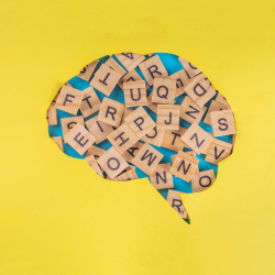  Un cerveau contenant un amas de lettres apparaît sur un fond jaune.