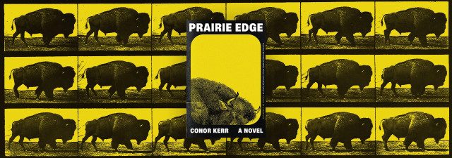 Book cover of Prairie Edge
