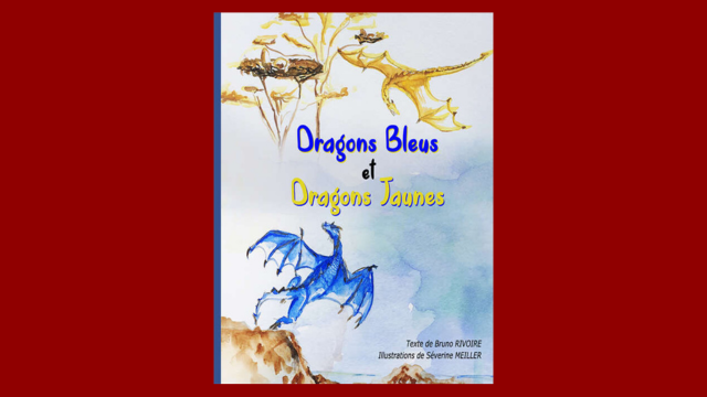 Couverture du livre Dragons bleus et dragons jaunes par Bruno Rivoire.