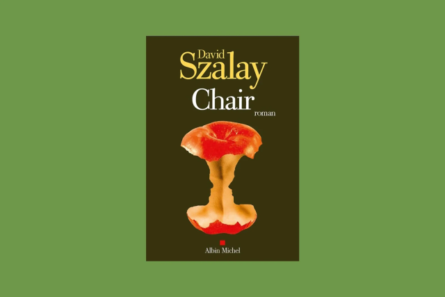Image de couverture de  Chair par David Szalay